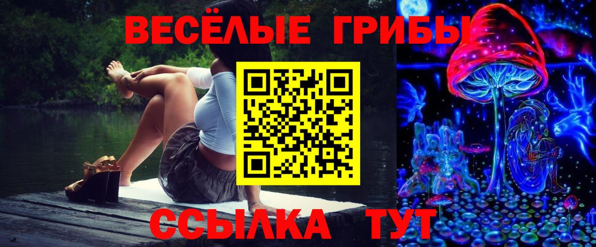 Псилоцибиновые грибы мухоморы Тихвин
